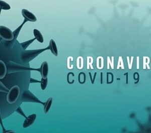 Service de lutte contre les micro-nuisibles Désinfection par pulvérisation – COVID-19