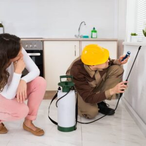 Prévention des parasites à la maison : quand est-il opportun de faire un contrôle ?