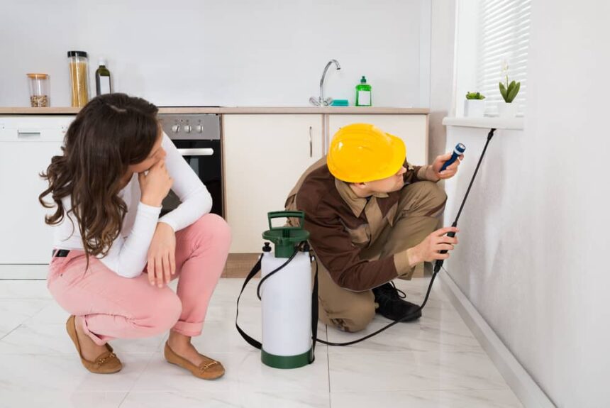 Prévention des parasites à la maison : quand est-il opportun de faire un contrôle ? Prévention des parasites à la maison : quand est-il opportun de faire un contrôle ?