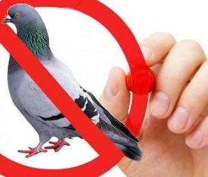 Santé et sécurité lors de la lutte antiparasitaire
