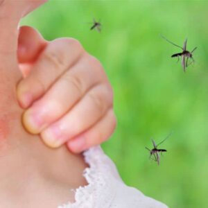 Comment se déroule une lutte anti-moustiques professionnelle ?