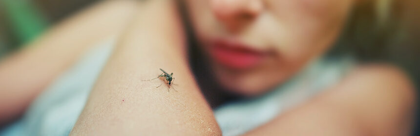 Lutte antiparasitaire contre les moustiques